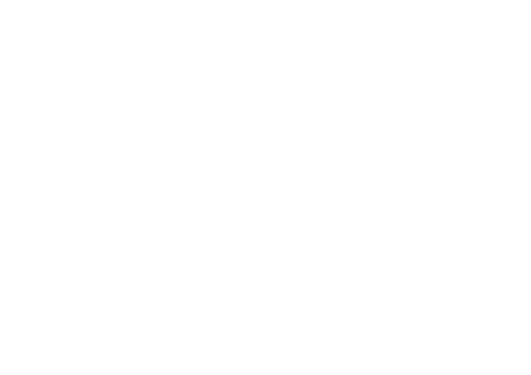 VEERLESS